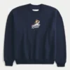 Boxy Frosted Flakes Graphic Crew Sweatshirt Boxy Frosted Flakes Graphic Crew Sweatshirt