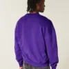 Boxy Northwestern University Wildcats Graphic Crew Sweatshirt Boxy Northwestern University Wildcats Graphic Crew Sweatshirt