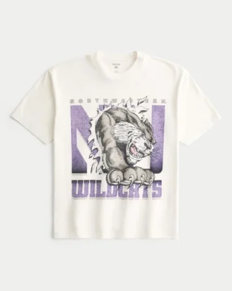 Boxy Northwestern University Wildcats Graphic Tee Boxy Northwestern University Wildcats Graphic Tee