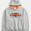 Boxy Oregon State University Beavers grafisk hættetrøje Boxy Oregon State University Beavers grafisk hættetrøje