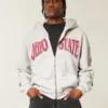 Boxy The Ohio State University Buckeyes grafisk hættetrøje med lynlås Boxy The Ohio State University Buckeyes grafisk hættetrøje med lynlås