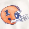 Boxy University of Illinois Fighting Illini grafisk hættetrøje Boxy University of Illinois Fighting Illini grafisk hættetrøje