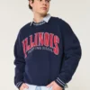 Boxy University of Illinois Fighting Illini Graphic Crew Sweatshirt Boxy University of Illinois Fighting Illini Graphic Crew Sweatshirt