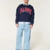 Boxy University of Illinois Fighting Illini Graphic Crew Sweatshirt Boxy University of Illinois Fighting Illini Graphic Crew Sweatshirt