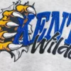 Boxy University of Kentucky Wildcats grafisk hættetrøje