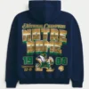 Boxy University of Notre Dame Fighting Irish grafisk hættetrøje Boxy University of Notre Dame Fighting Irish grafisk hættetrøje