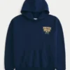 Boxy University of Notre Dame Fighting Irish grafisk hættetrøje Boxy University of Notre Dame Fighting Irish grafisk hættetrøje