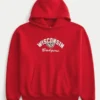 Boxy University of Wisconsin Badgers grafisk hættetrøje Boxy University of Wisconsin Badgers grafisk hættetrøje