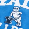 Boxy Yale Bulldogs grafisk hættetrøje