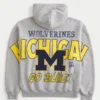 Boxy Zip-Up University of Michigan Wolverines Graphic Hoodie Boxy Zip-Up University of Michigan Wolverines Graphic Hoodie
