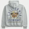 University of California Berkeley Golden Bears grafisk hættetrøje University of California Berkeley Golden Bears grafisk hættetrøje