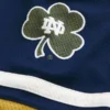 University of Notre Dame Fighting Irish grafisk hockey-trøje University of Notre Dame Fighting Irish grafisk hockey-trøje